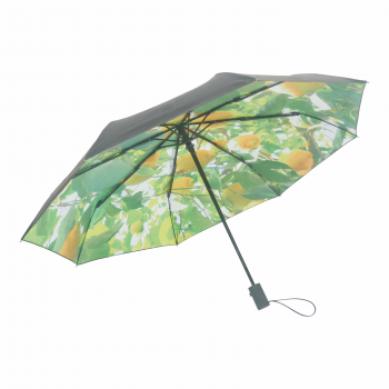 HS093 Lemon umbrella product image