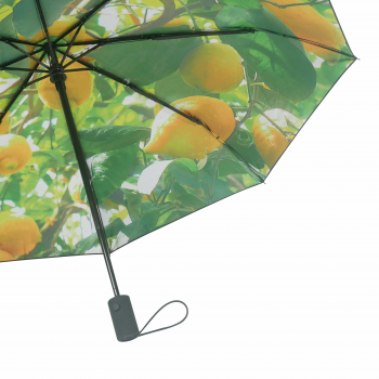 HS093 Lemon umbrella close up