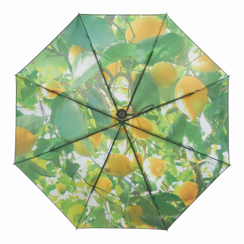 HS093 Lemon umbrella spread