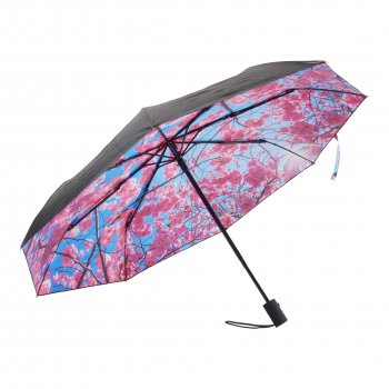 HS081 Cherry Umbrella